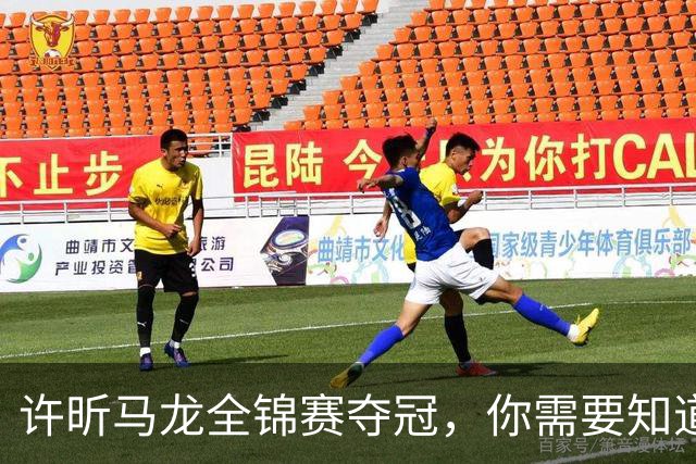 许昕/马龙全锦赛夺冠，你需要知道这些冷知识>>